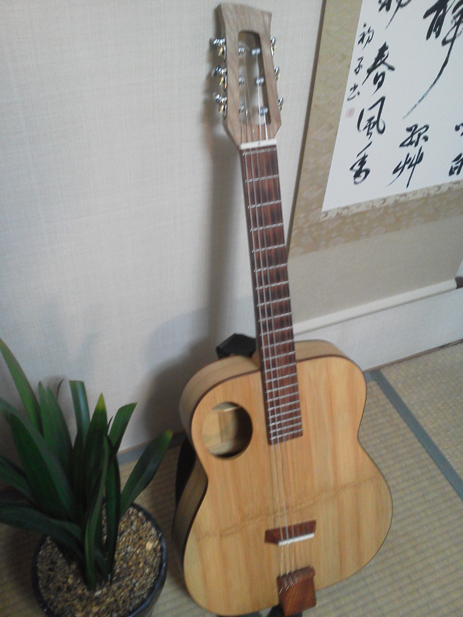 Bamboo Guitar